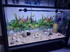 2.5 Ft Fish Tank Set