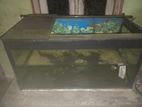 2.5ft Fish Tank with Roof