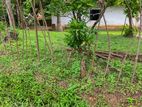 25P Bare Land For Sale In Battaramulla Thalangama