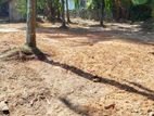 25p Land for Sale Battaramulla Thalangama