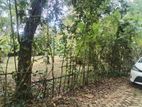 25P Land for Sale in Wewahamanduwa, Matara