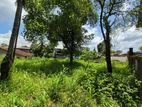 25P Residential or Commercial Bare Land For Sale In Thalawathugoda