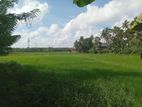 25perch aland for sale in seeduwa, opatha