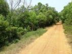 26+ Acres of Land for Sale on Pubudugama Road, Wanathavilluwa