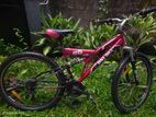 26 DSI Mountain Bicycle