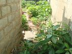 2.6 Perch Land for Sale in Aththidiya