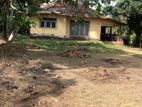 26 PERCH LAND for SALE in HOMAGAMA