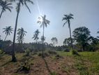 260P Bare Land for Sale - Wariyapola, Mahakeliya, Randeniya