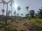 260P Bare Land for Sale - Wariyapola, Mahakeliya, Randeniya