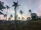 260P Land for Sale Wariyapola, Randeniya