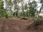 264 Perches Bare Land with 35 Coconut and Other Trees in Kurunegala
