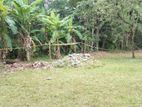26.5 Perches Prime Land for Sale in Thalawathugoda