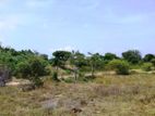 27-Acre Lagoon Front Land for Sale in Puttalam