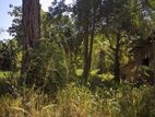 27 Perch Land for Sale - Buttala