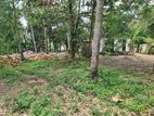 270 Perches of Commercial Land for Sale in Malabe