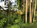 27.1 Perch Main Road Frontage Land for Sale – Ingiriya