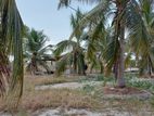 2.75 Acres Valuable Land with House for Sale Mayilampaveli