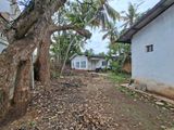27.5 Perch Land With Old House For Sale In Sirimal Uyana