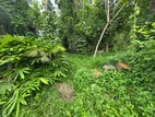 27.5 PERCHES BEST LAND FOR SALE RAGAMA