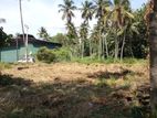 27.5P Land for Sale in Delgoda, Mukalana (SL 14156)