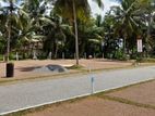 276/376 Road Land for Sale in Kandana Facing to Ganemulla Bus route
