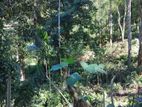 276 Perch Land for Sale, Faced to Galaha Pupuressa Road