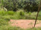 27Perch Land For Sale Hakmana