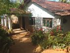 House for Sale - Pallewala Galewala