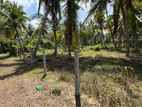 28 Perch Land for Sale in Pambala, Chilaw – 800m to Main Road