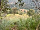 28 Perches Land for Sale in Anniewatta - Kandy