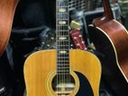 Kawai Japanese Acoustic Guitar