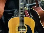 Kawai Japanese Acoustic Guitar