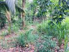 28.5 P Land for Sale in Kengalla, Kandy (TPS1545)