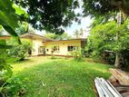 28P High Residential Land with House for Sale in Nawala