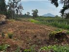 28 P Land for Sale in Monaragala,siyambalanduwa