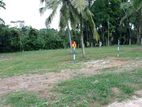 28P Paddy Field Facing Residential Land for Sale in Dewalapola, Gampaha.