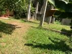 29.1 Perch Land with House Sale in Matara, Kamburupitiya