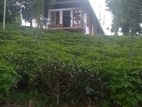 2BR House for Rent in Balangoda, Sri Lanka