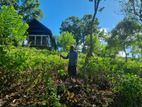 2BR House on Lease in Balangoda