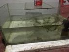 2 Feet Fish Tank
