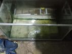 2feet Fish Tank