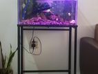 2 Ft Aquarium Fish Tank with Stand