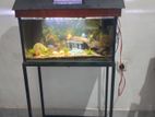 2ft Fish Tank and Stand