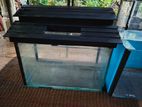 2ft Fish Tank