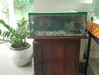 2ft Fish Tank with Stand
