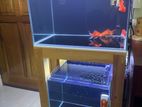 2FT Imported Fish Tank