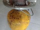 2kg Gas Cylinder with Stove