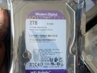 2TB Harddisk Seagate SKYHAWK & WD Purple