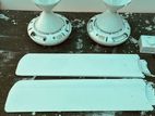 2x Singer Ceiling Fans (White) + ACL Regulator