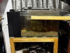 2x1.5x1 Size Fish Tank with Stand